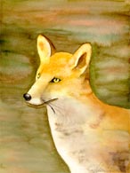 Fuchs