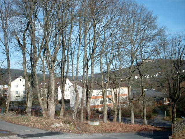 Kindergarten
